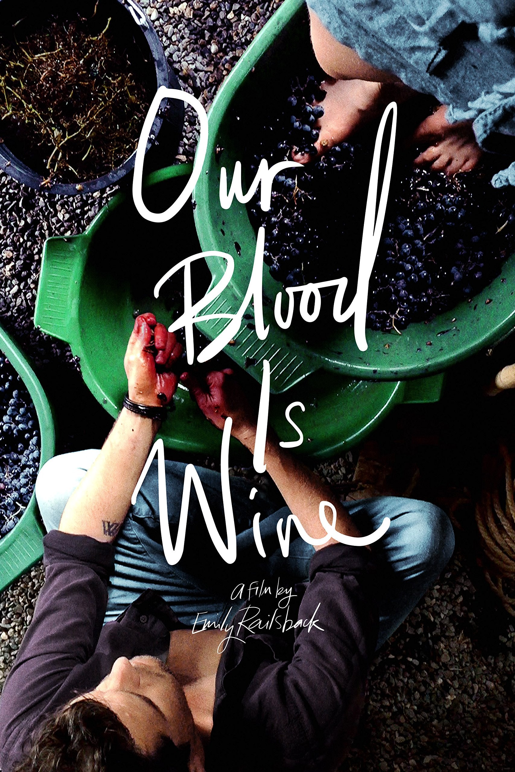 Our Blood Is Wine (DVD)