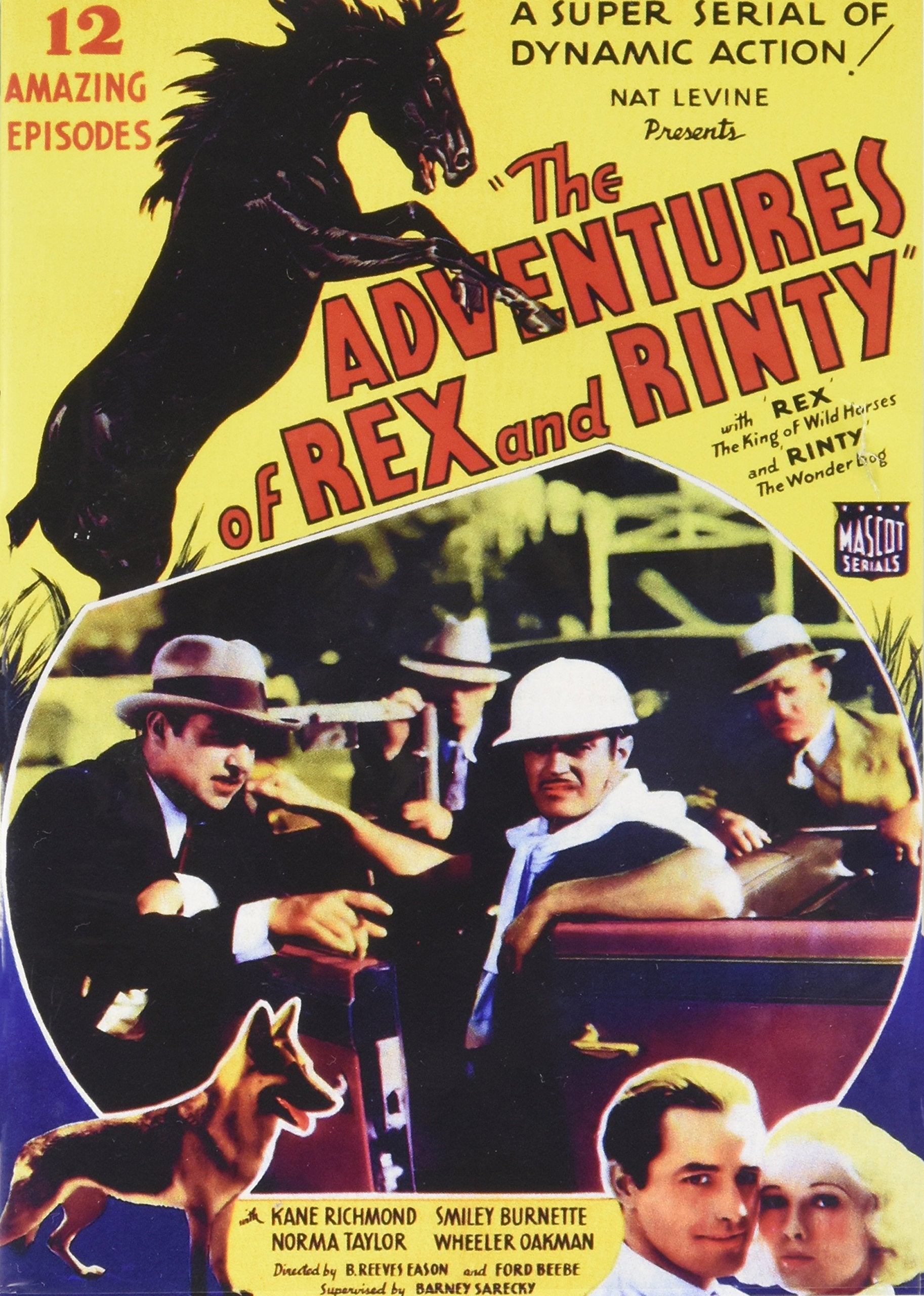 Adventures of Rex & Rinty (DVD)