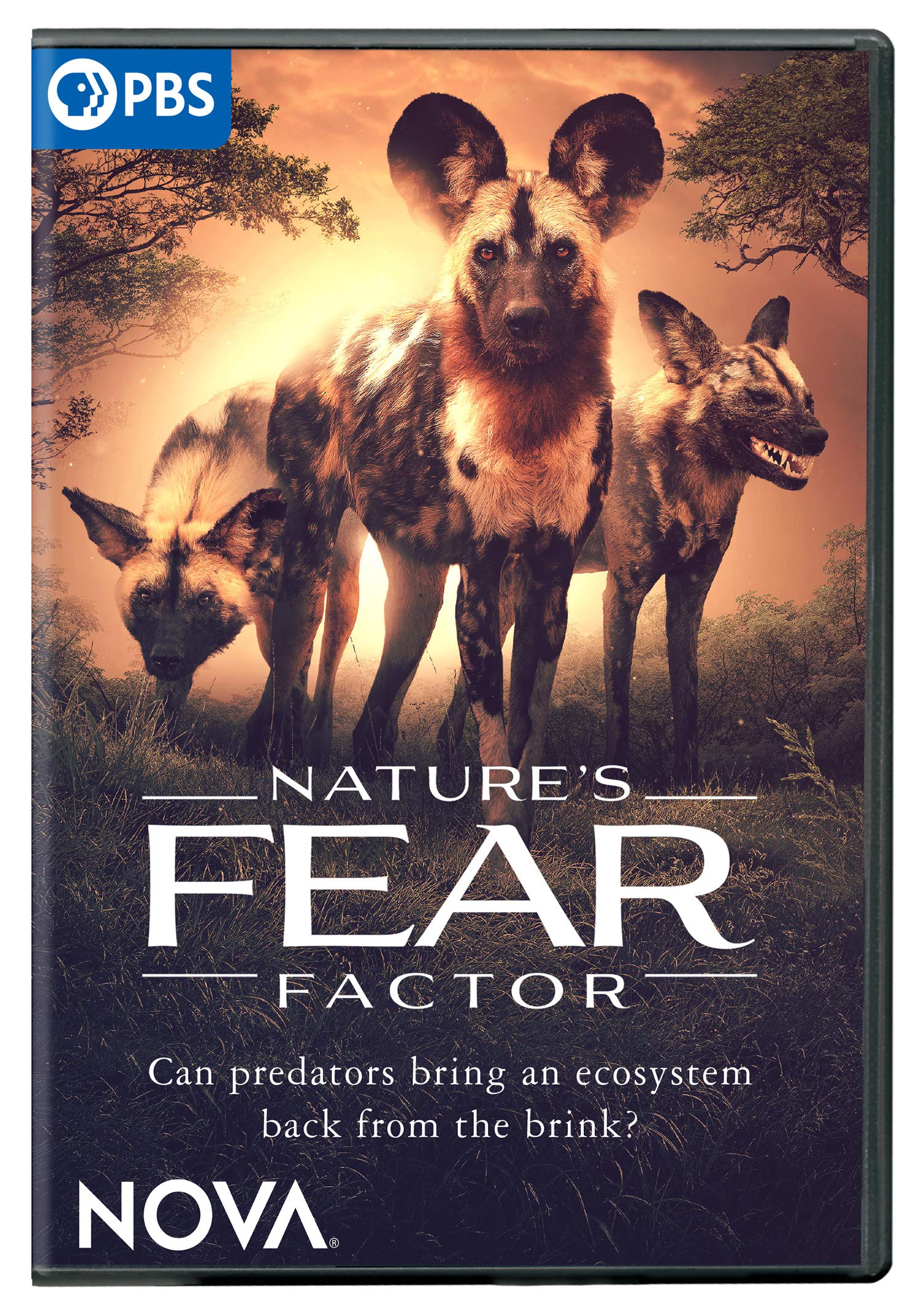 Nova: Nature's Fear Factor (DVD)