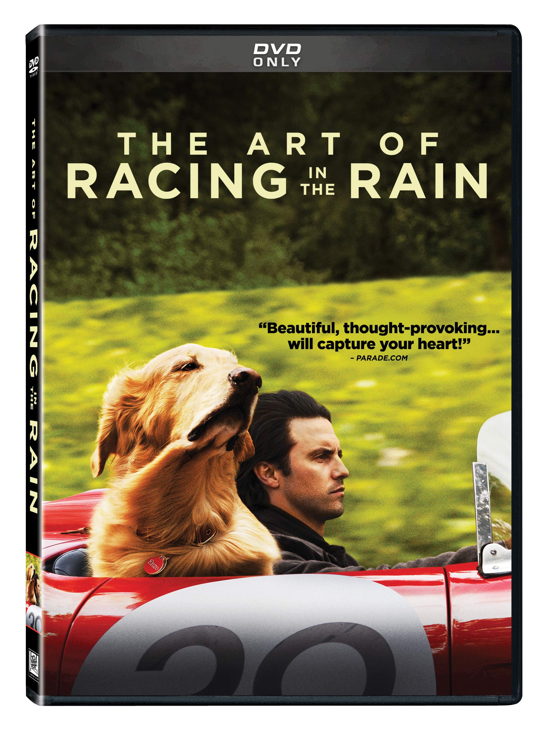 Art of Racing in the Rain (DVD)