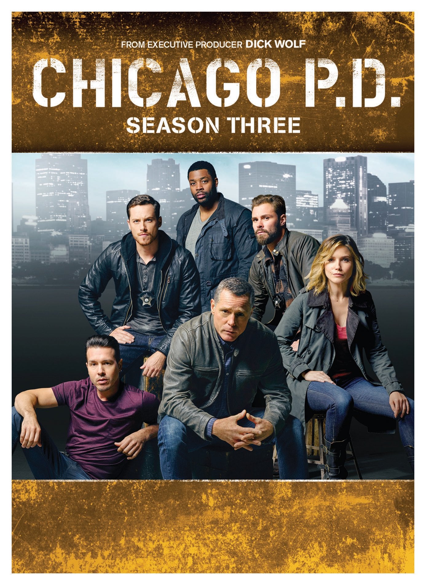 Chicago P.D.: Season 3 (DVD)
