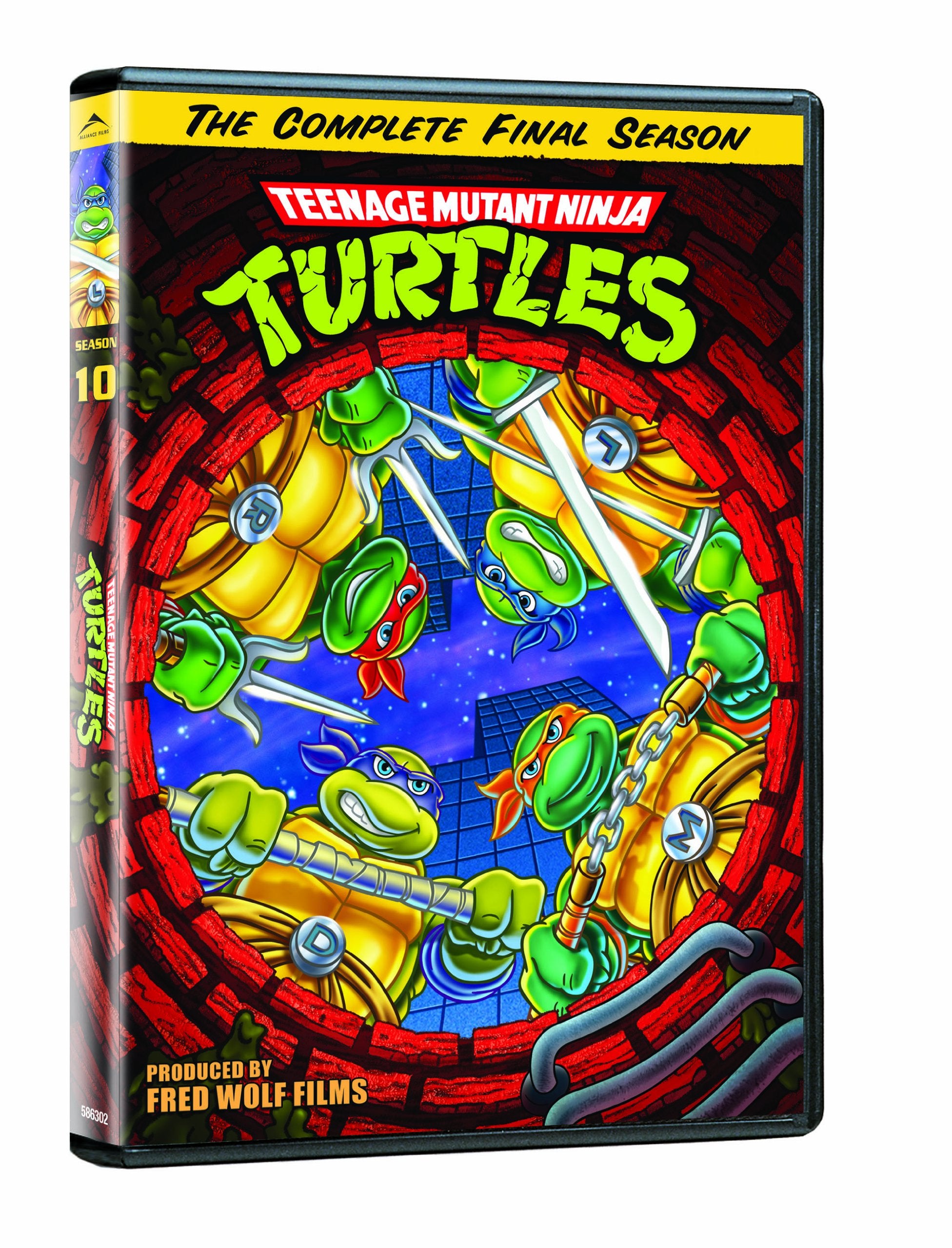Teenage Mutant Ninja Turtles: Season 10 (DVD)