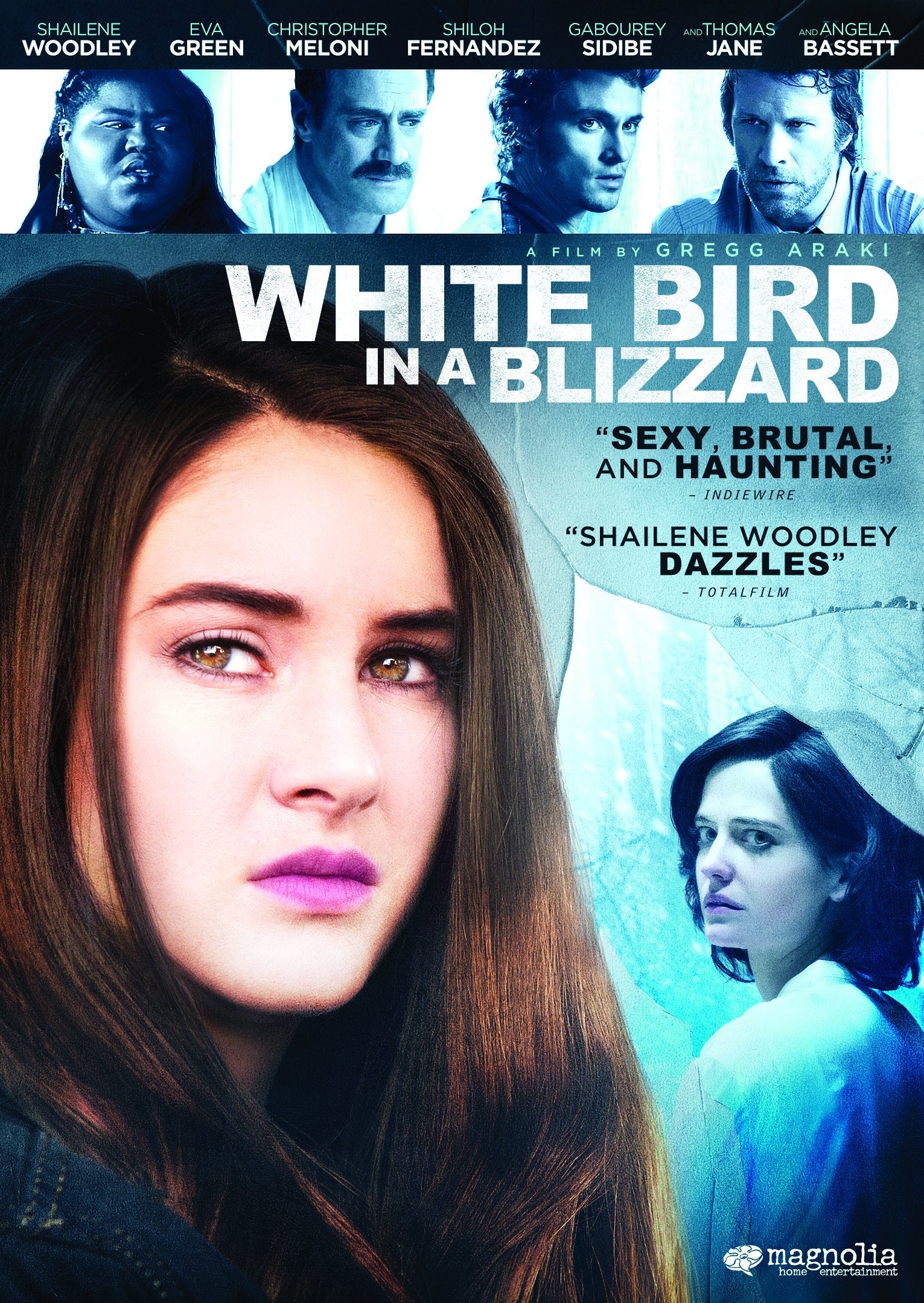 White Bird In A Blizzard (DVD)