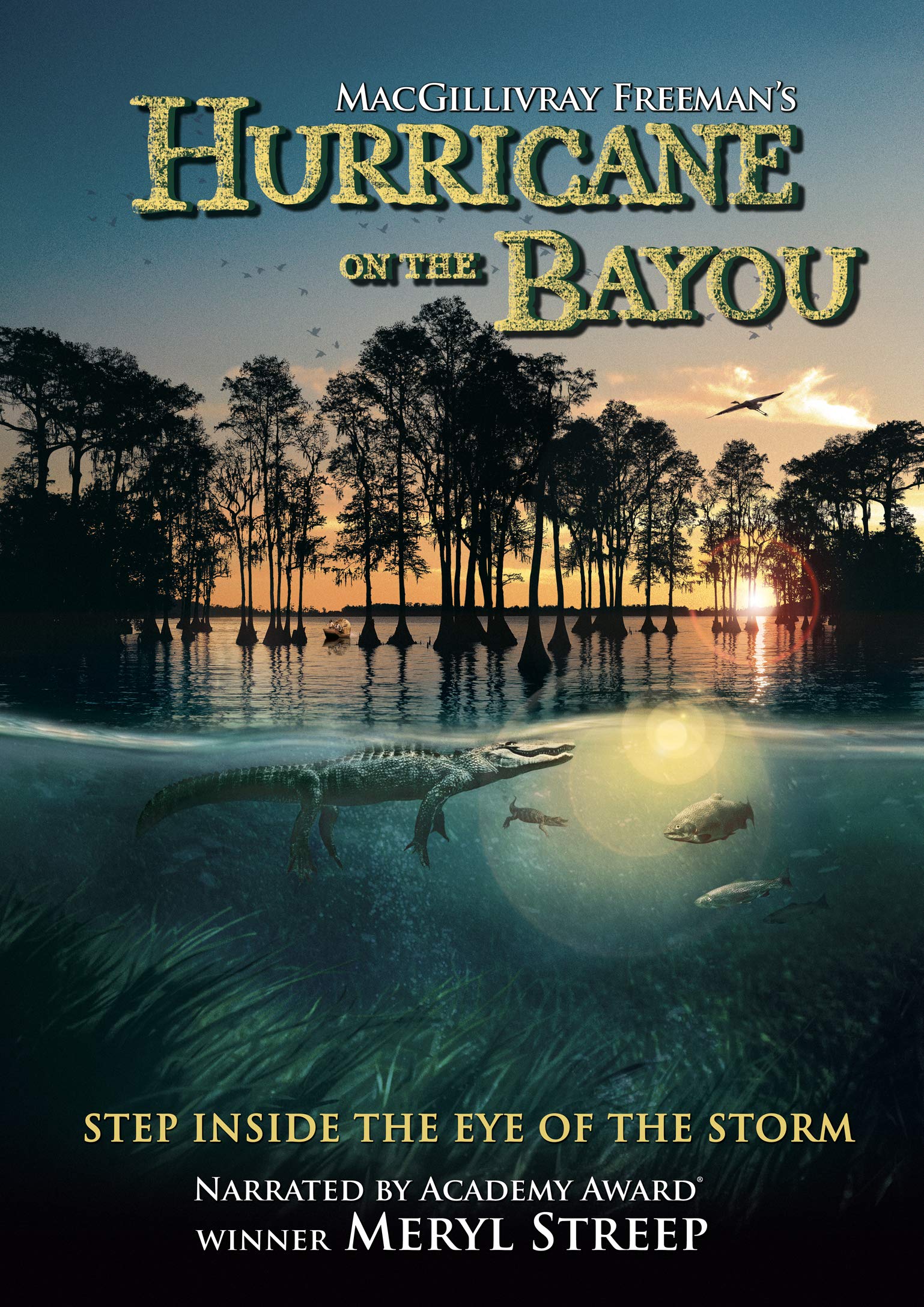 Hurricane on the Bayou (DVD)