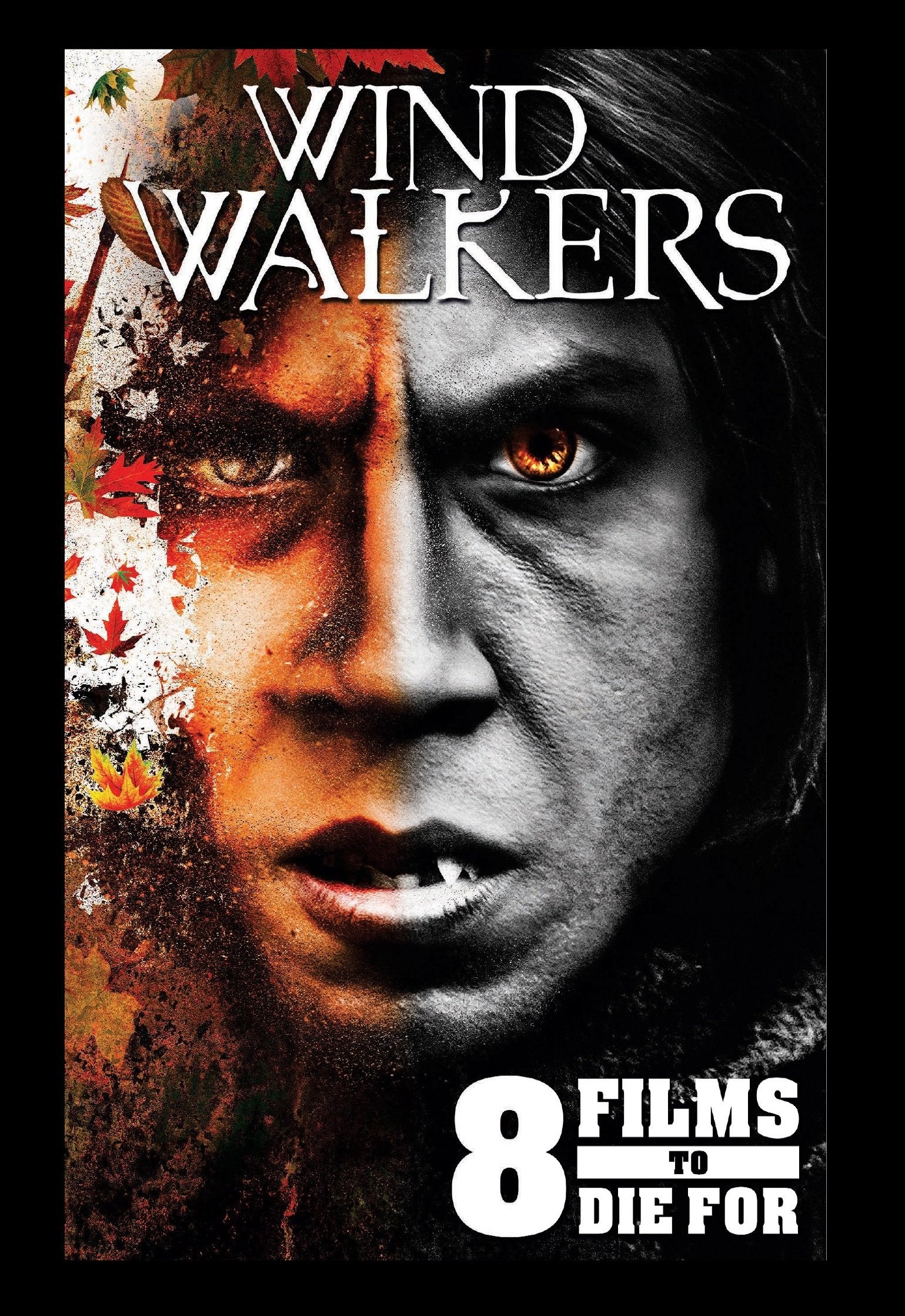 Wind Walkers (DVD)