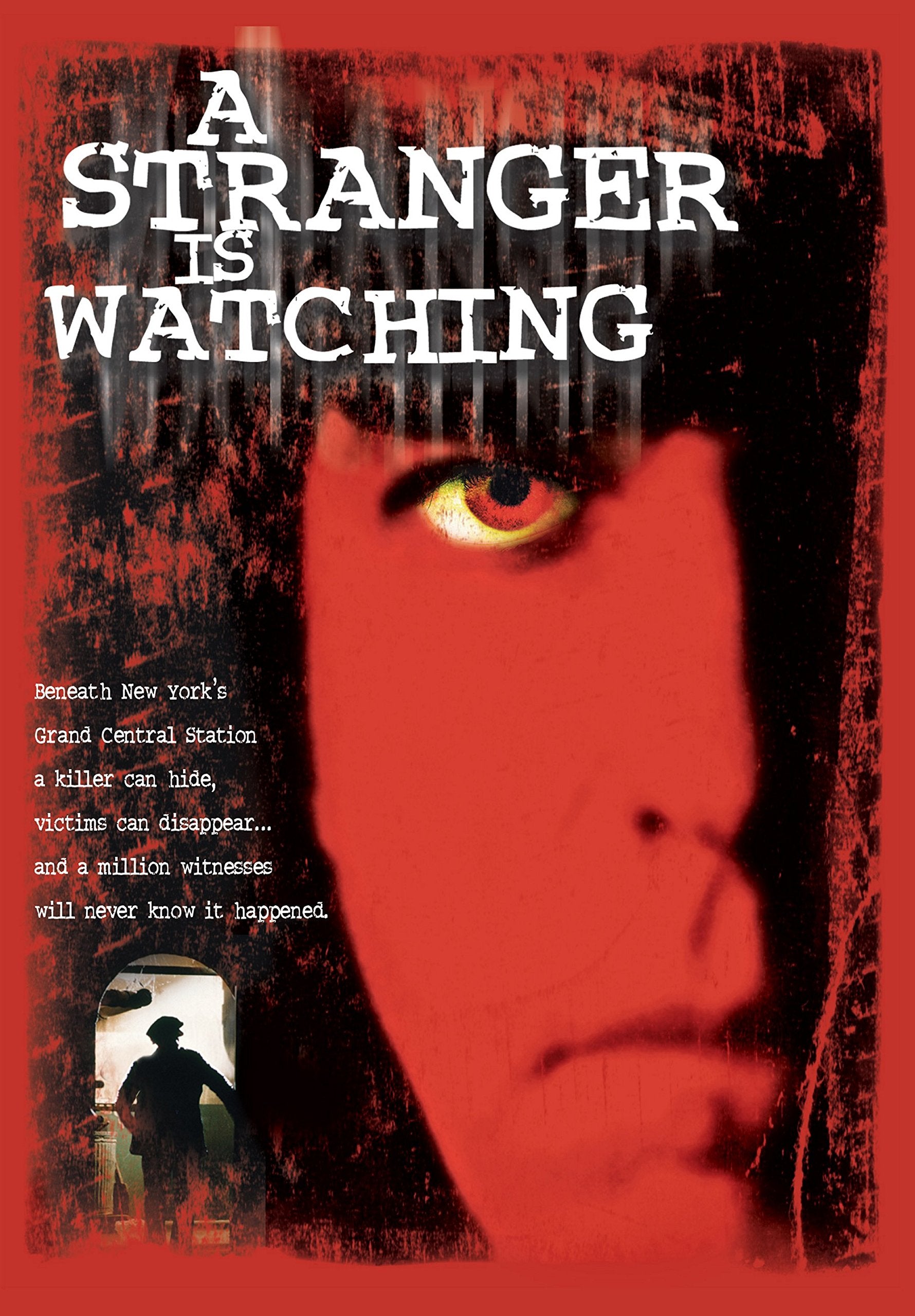 A Stranger Is Watching (DVD)