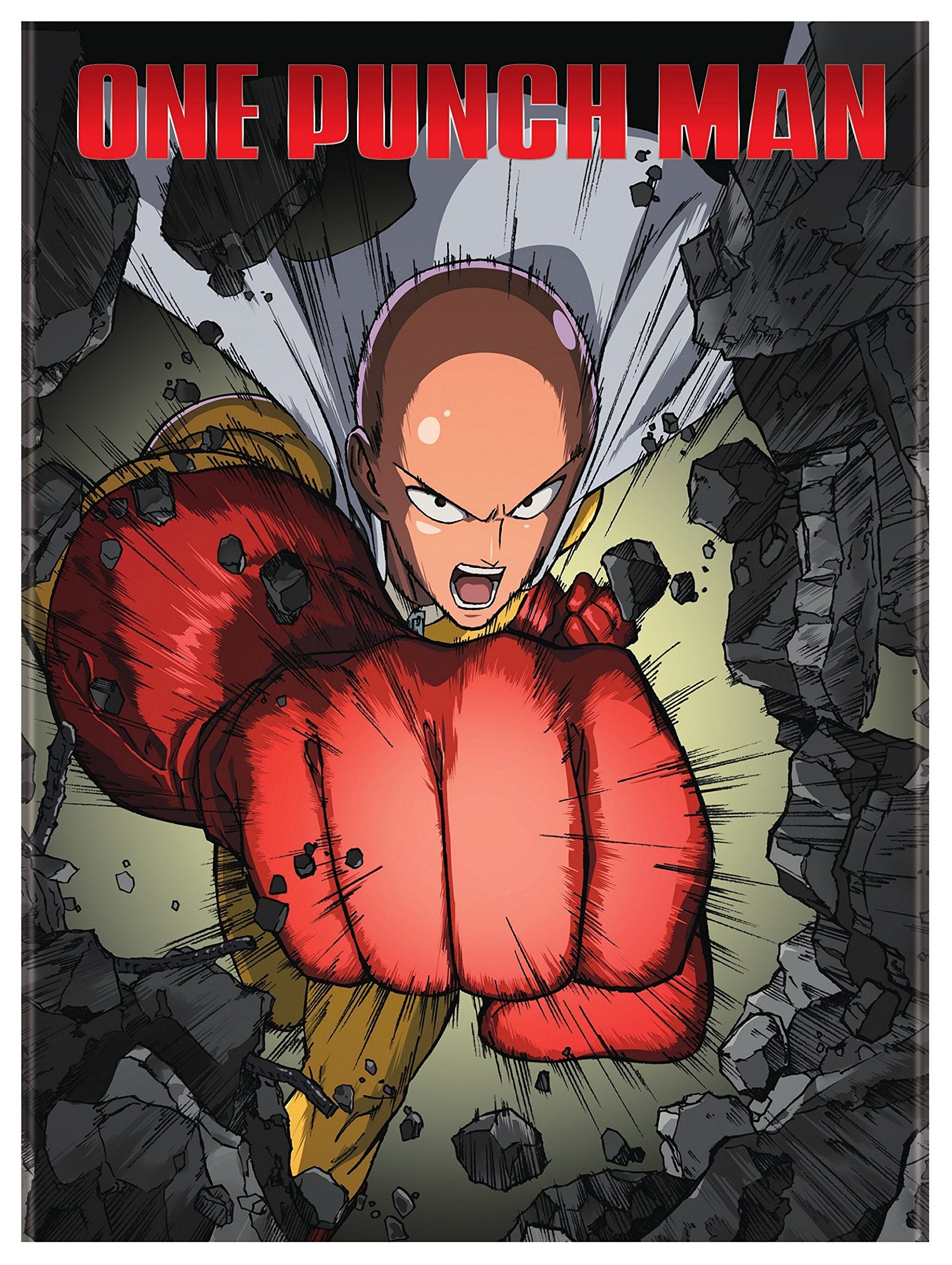 One Punch Man (DVD)