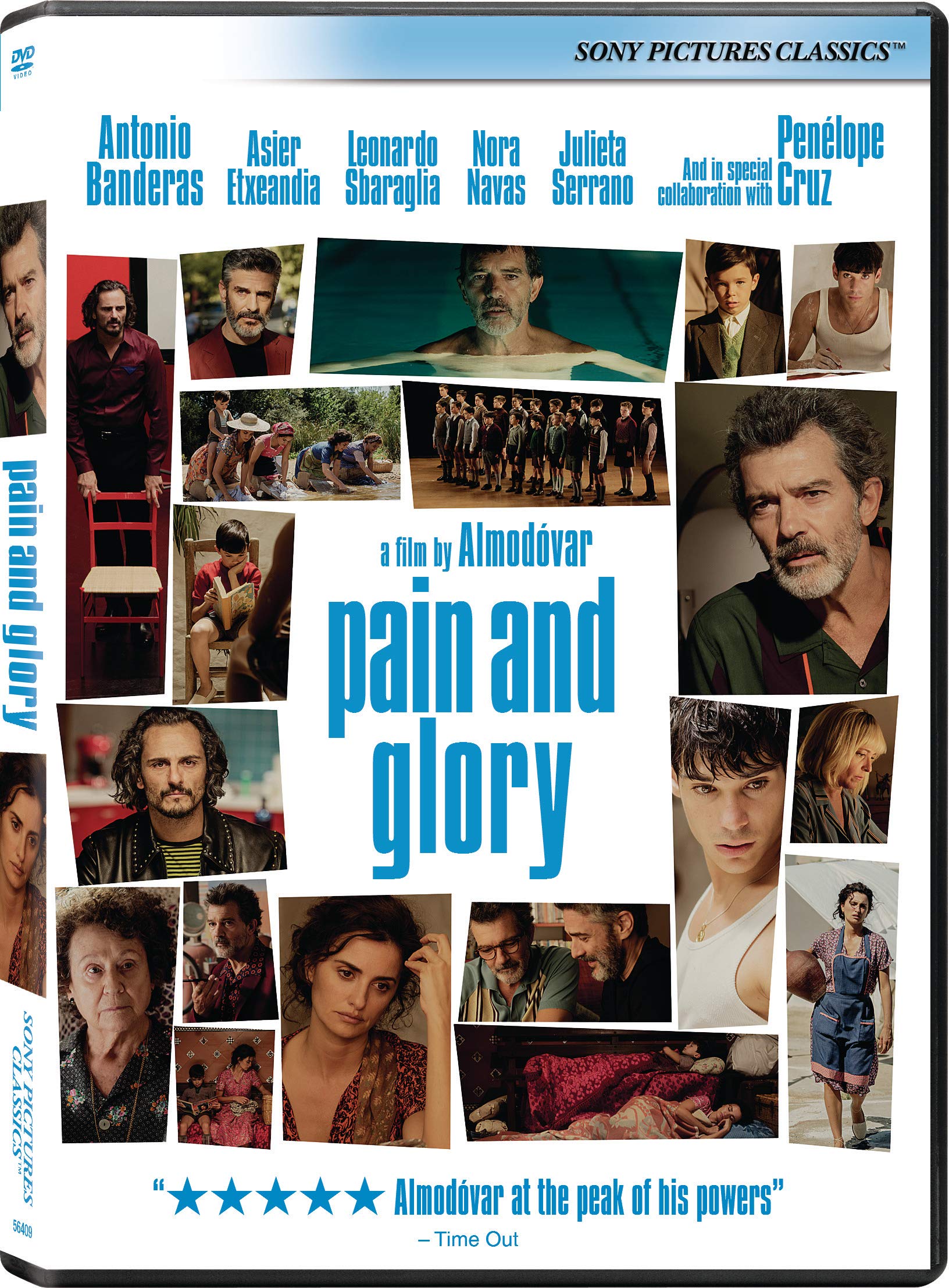 Pain & Glory (DVD)