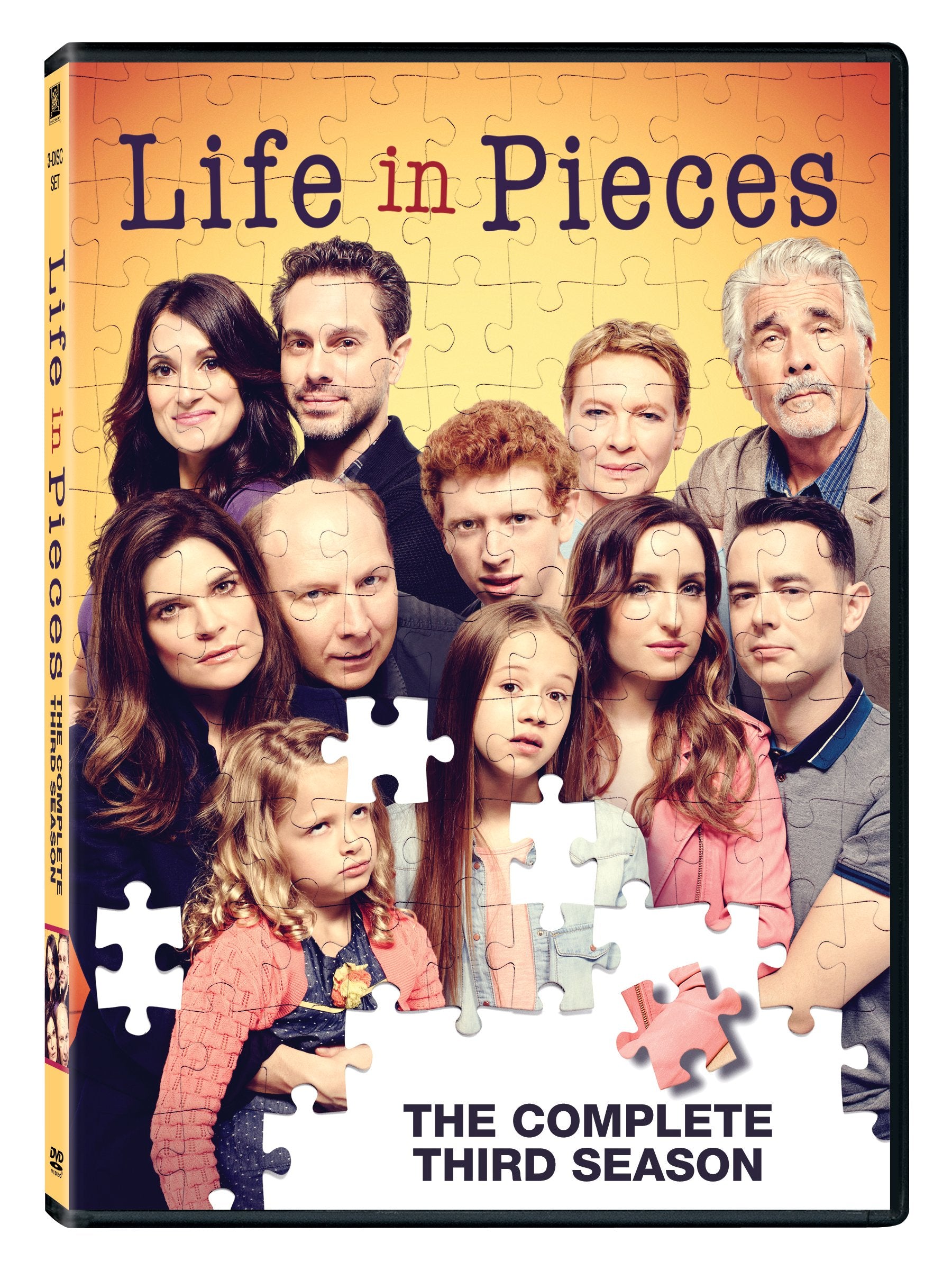 Life in Pieces: Season 3 (DVD)