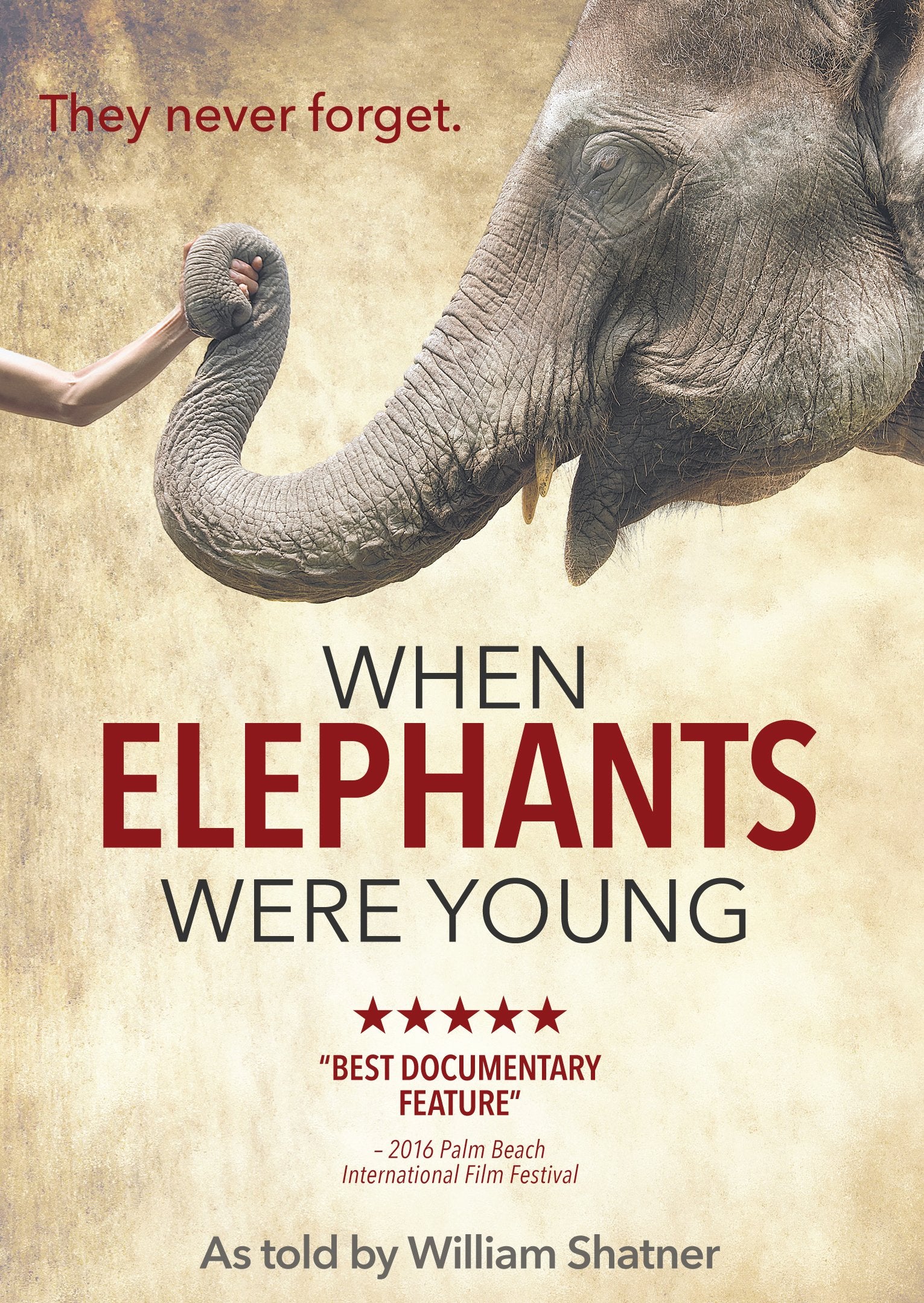 When Elephants Were Young (DVD)