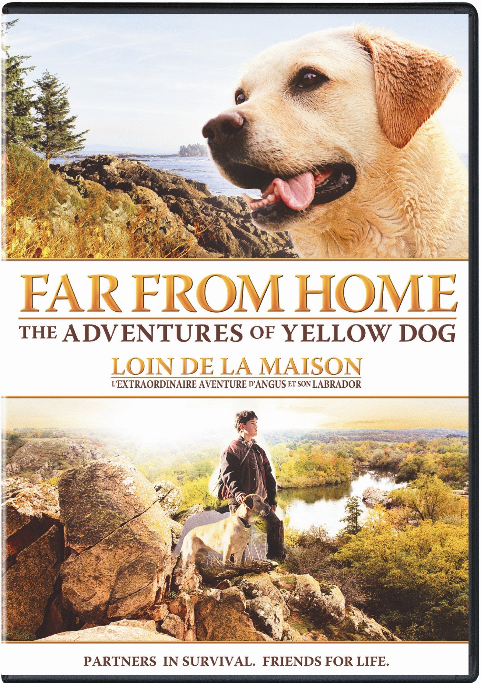 Far from Home (DVD)
