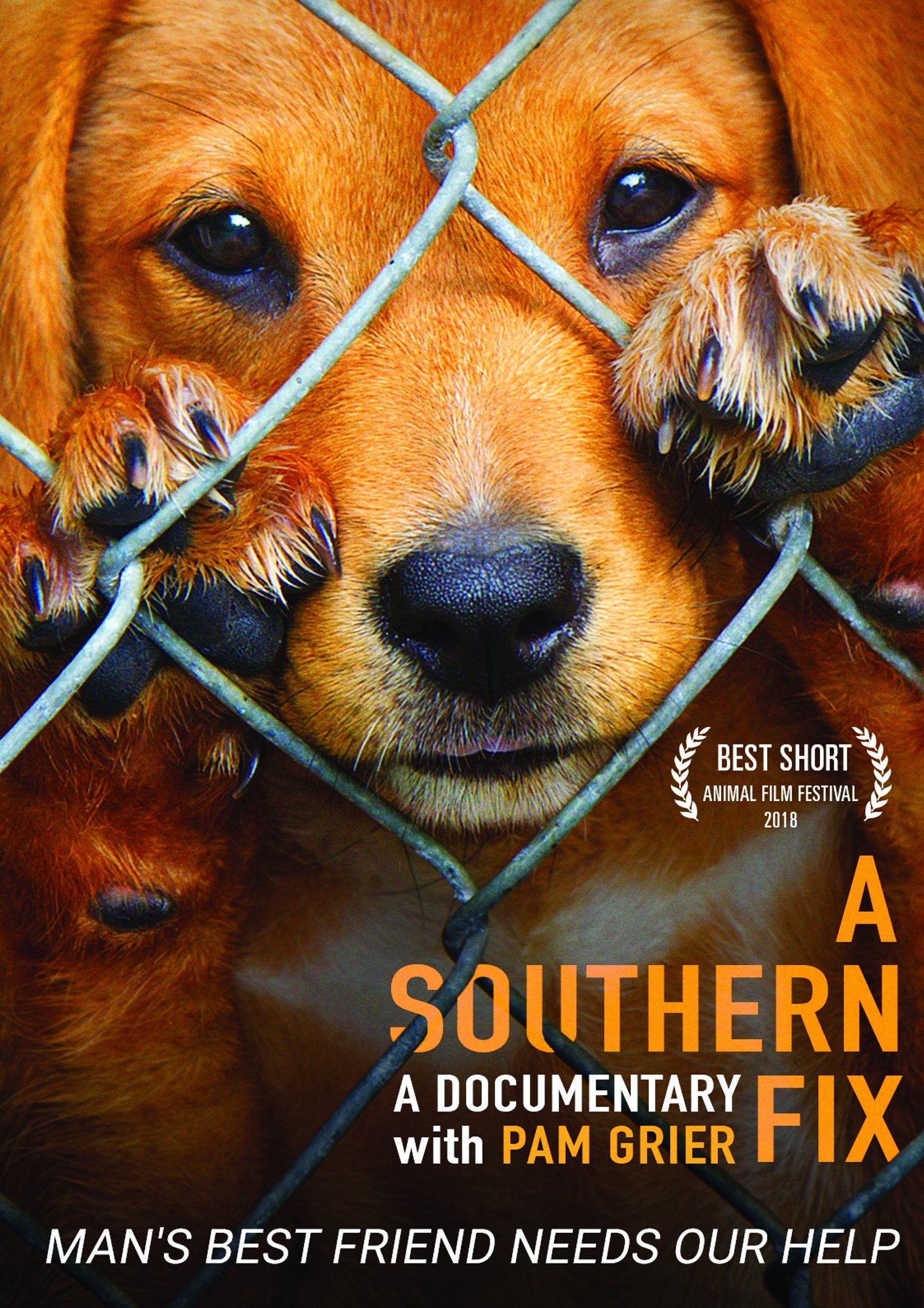 A Southern Fix (DVD)