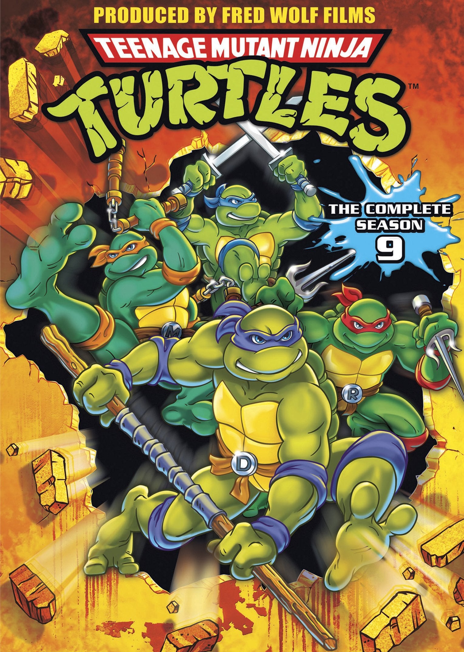 Teenage Mutant Ninja Turtles: Season 9 (DVD)