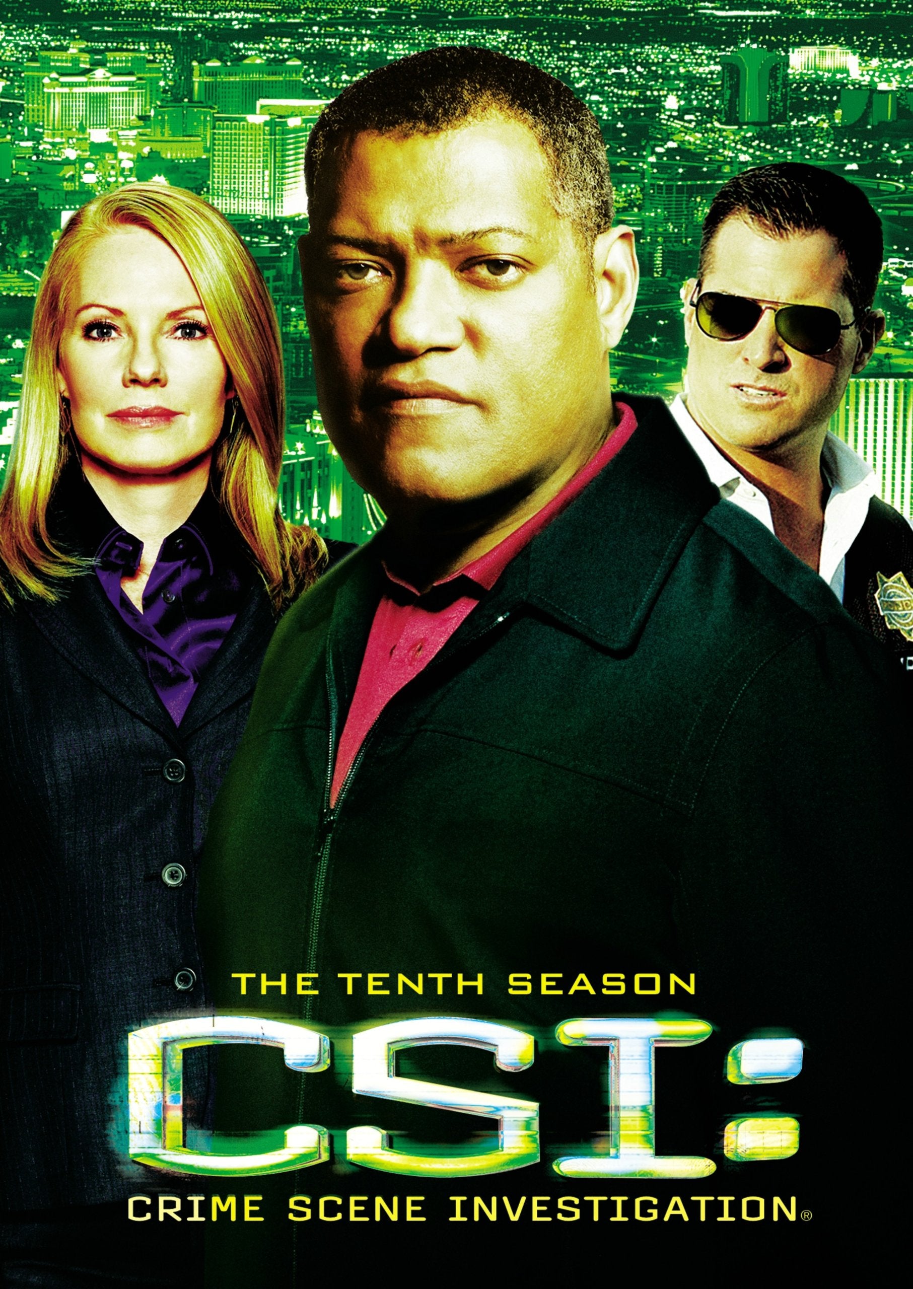 Csi: Season 10 (DVD)