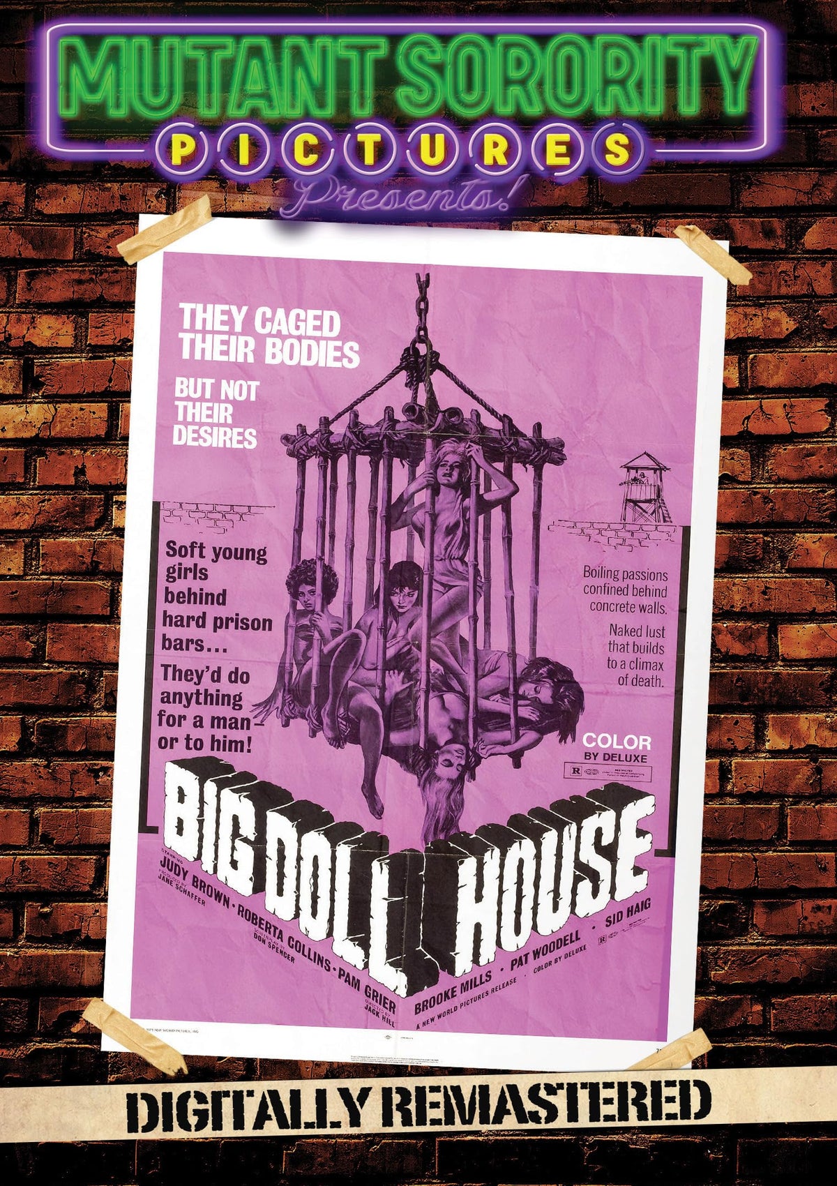 Big Doll House (DVD)