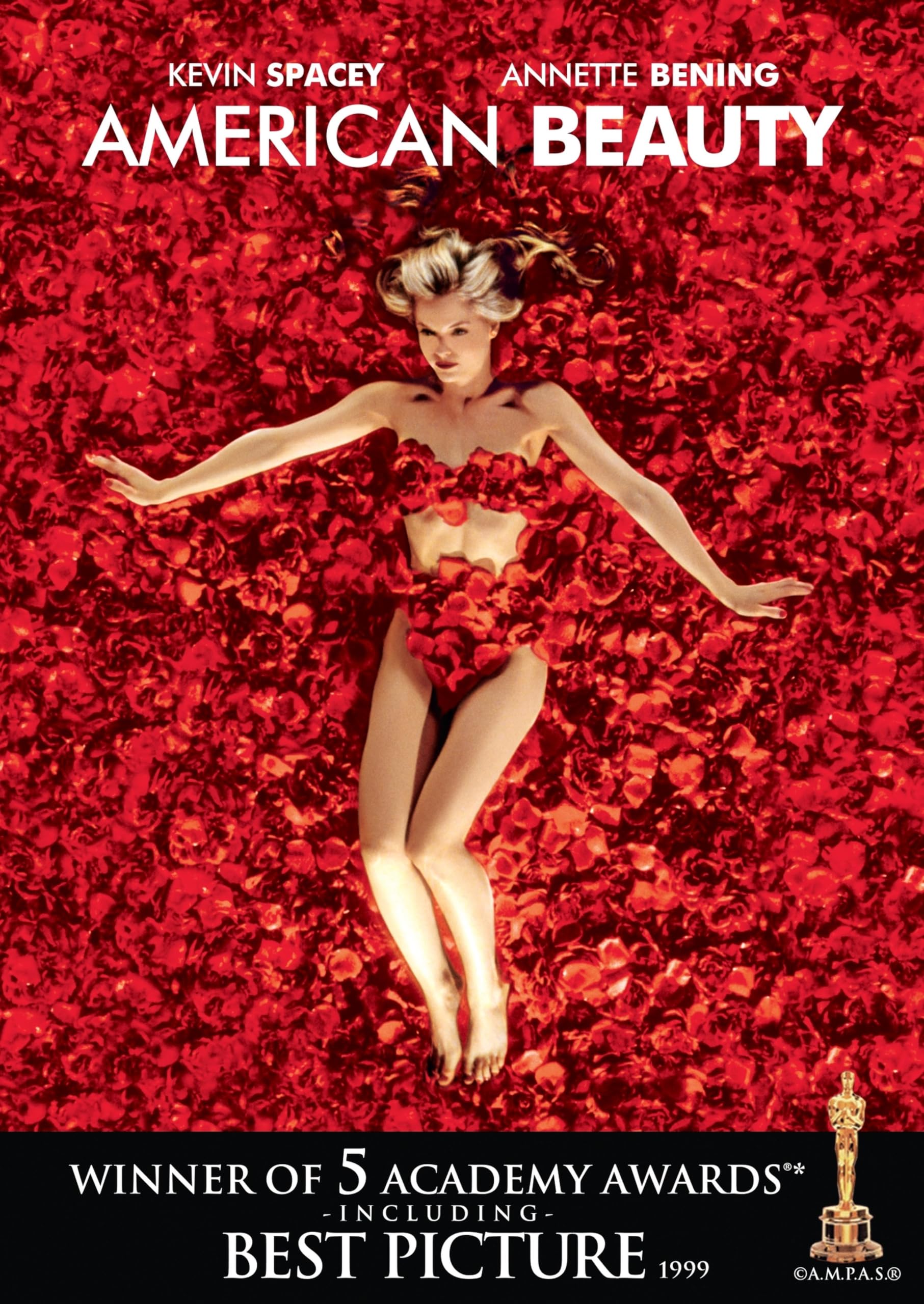 American Beauty (DVD)