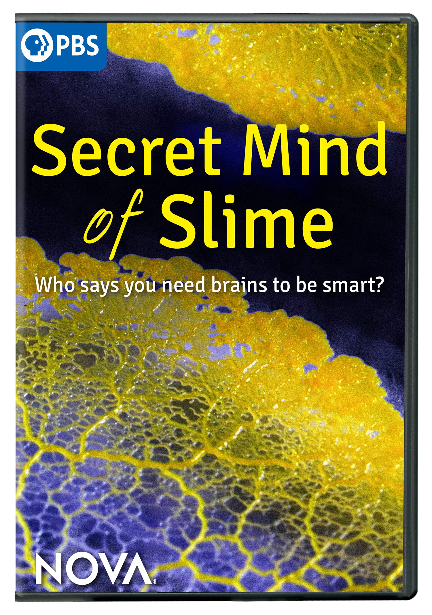NOVA: Secret Mind of Slime (DVD)