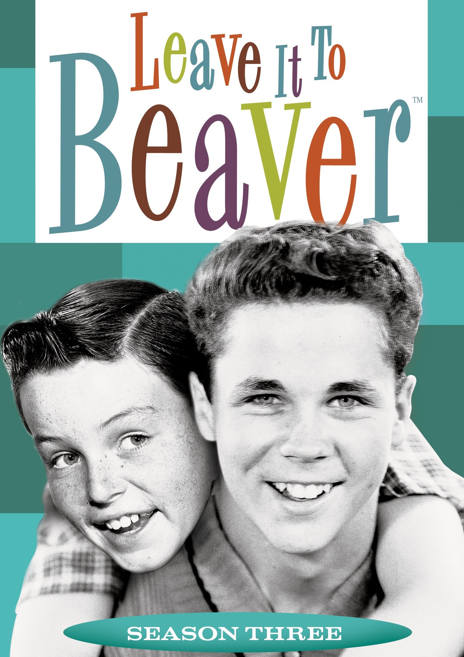 Leave It to Beaver Complete: Season 3 (DVD)