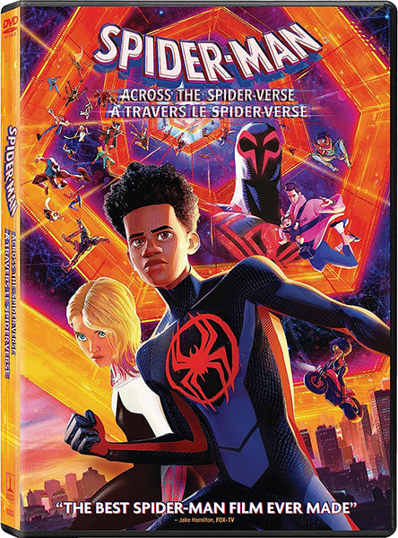 Spider-Man: Across the Spider-Verse (DVD)