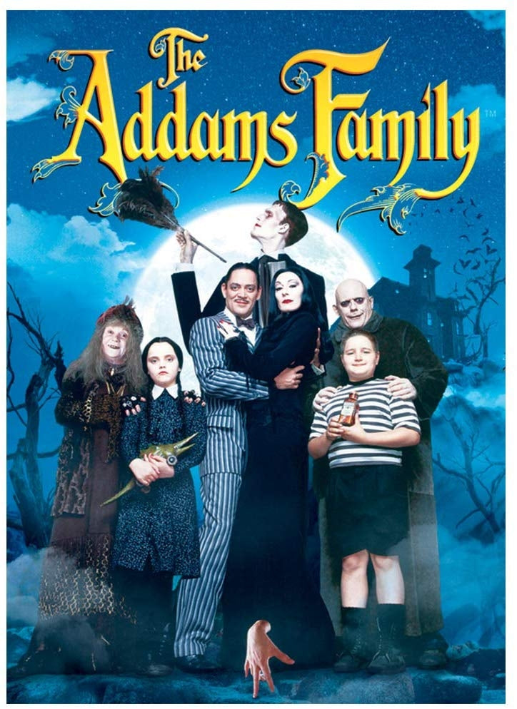 Addams Family, the (1991) (DVD)