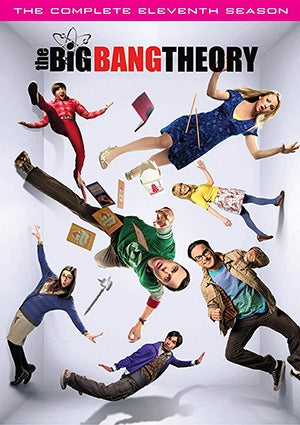 The Big Bang Theory: Season 11 (DVD)