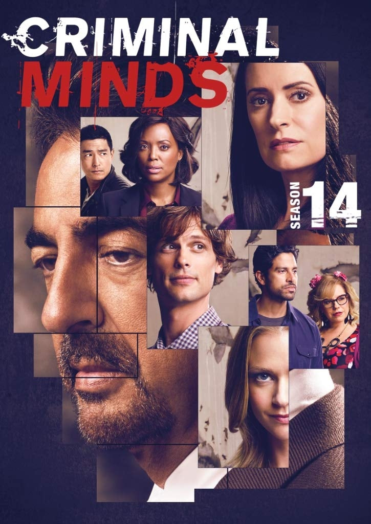 Criminal Minds: Season 14 (DVD)