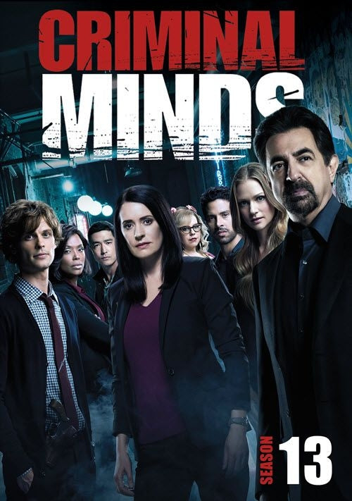 Criminal Minds: Season 13 (DVD)