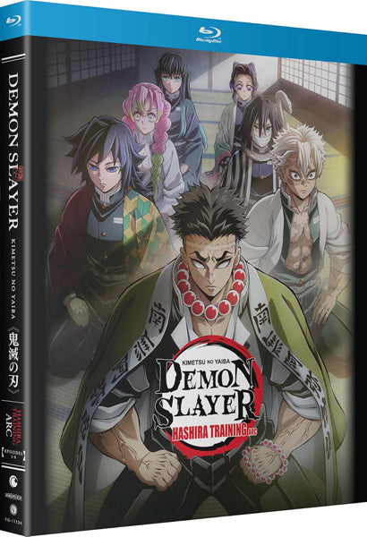 Demon Slayer: Kimetsu No Yaiba: Hashira Training (Blu-ray)