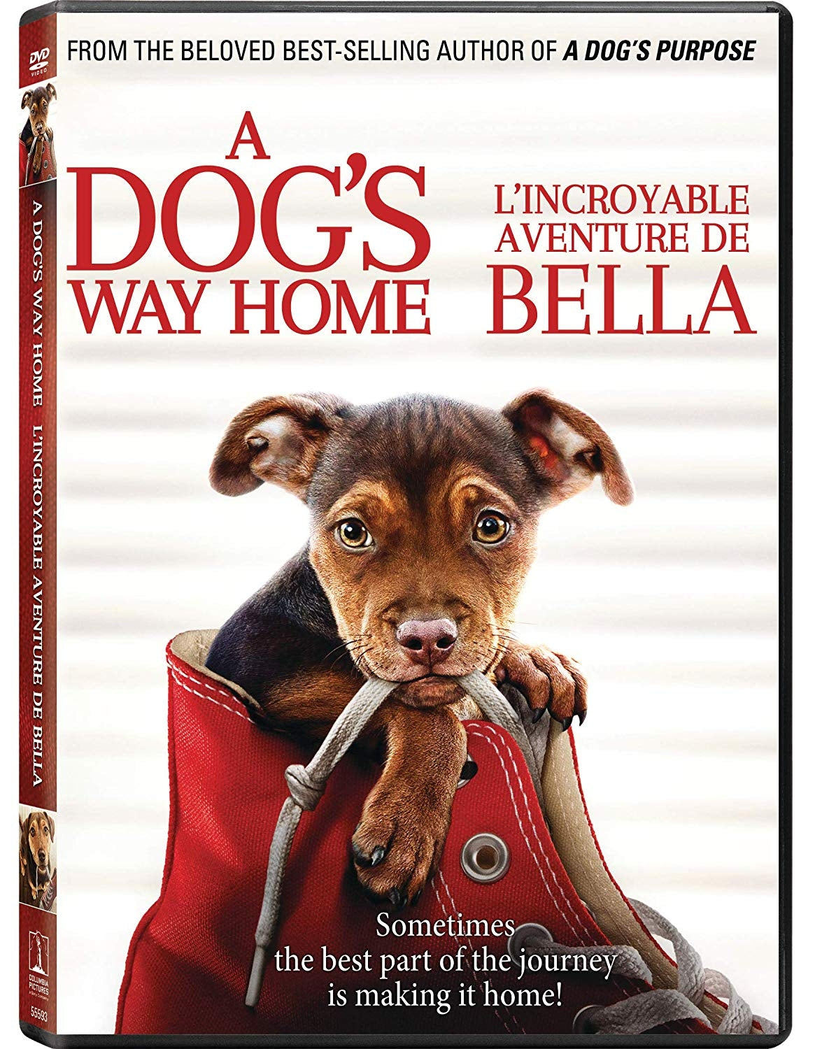 A Dog's Way Home (DVD)