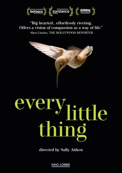 Every Little Thing (DVD)