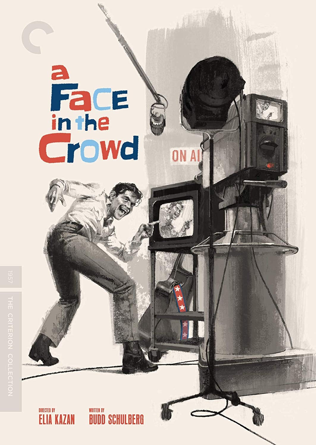 A Face in the Crowd (DVD)