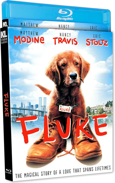 Fluke (Blu-ray)