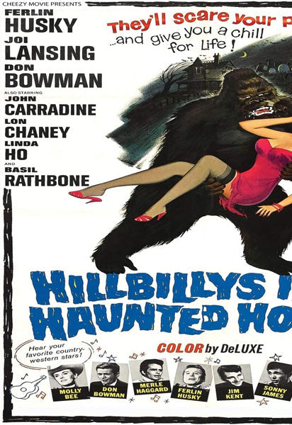 Hillbillys in A Haunted House (DVD)