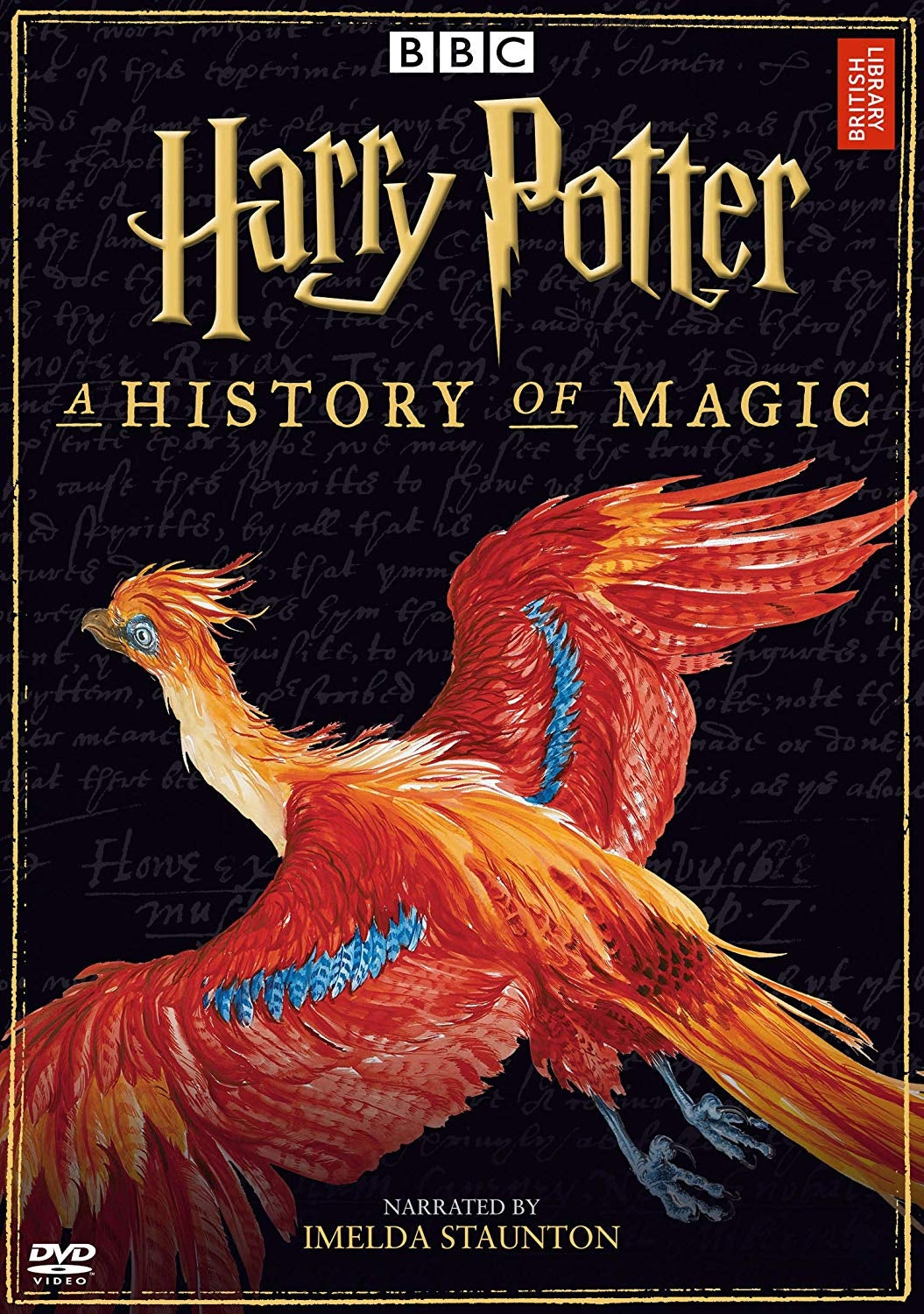 Harry Potter: A History of Magic (DVD)