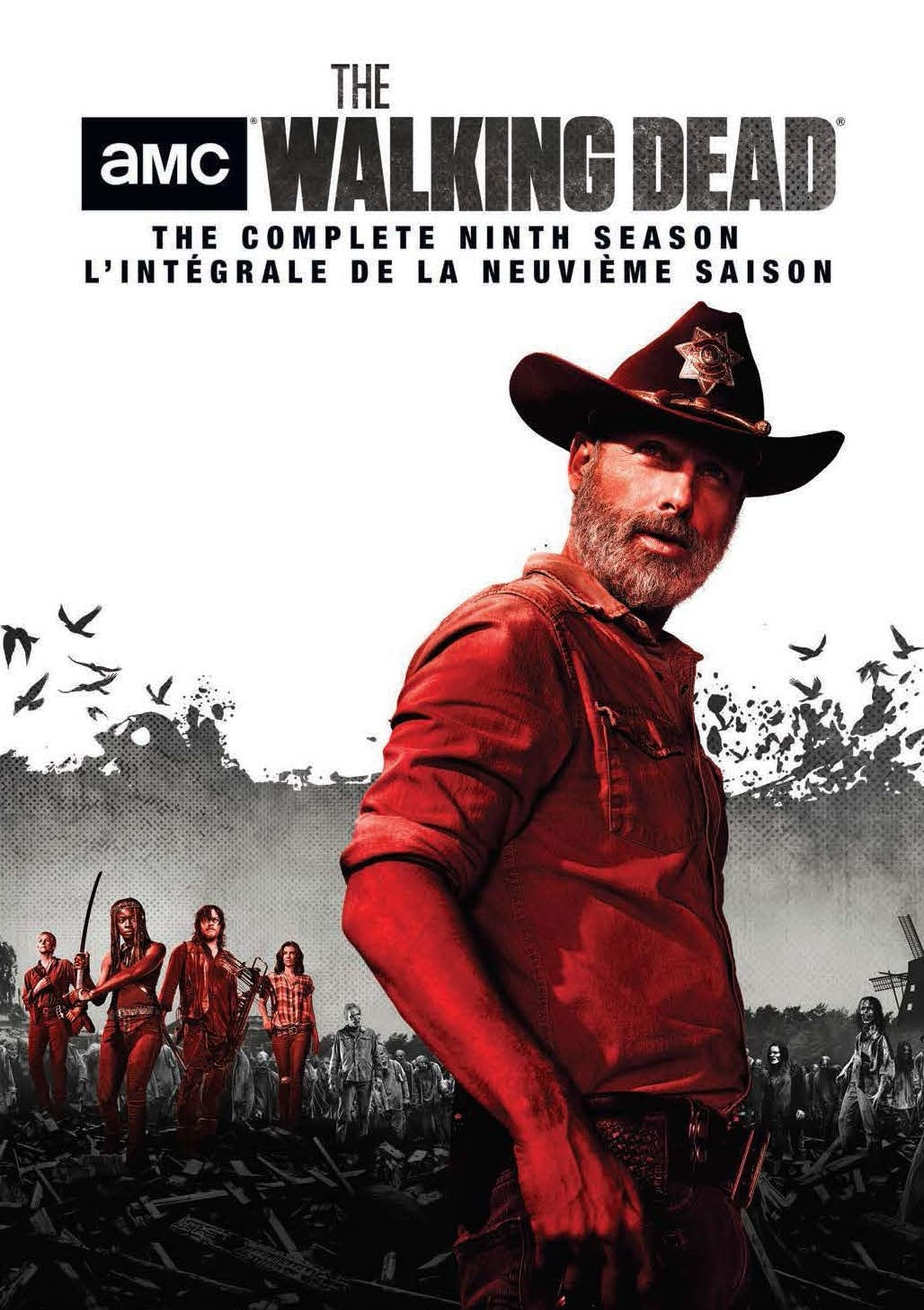 The Walking Dead: Season 9 (DVD)