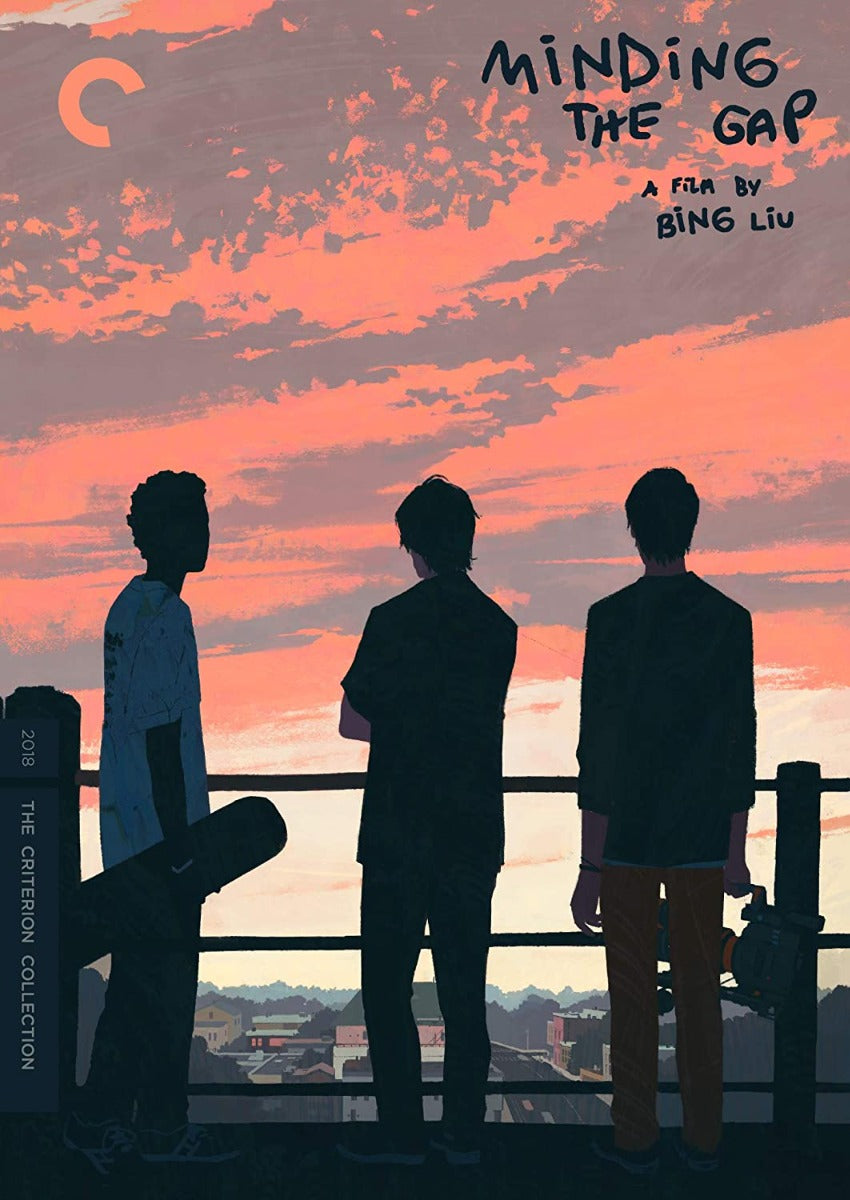 Minding the Gap (DVD)