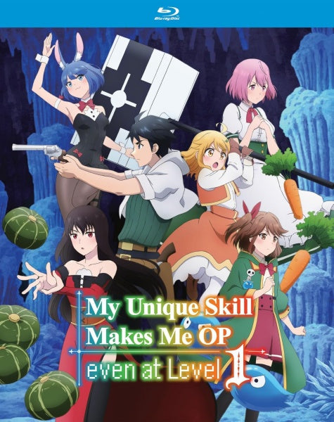 My Unique Skill Makes Me Op Even at Level 1 Complete (Blu-ray)