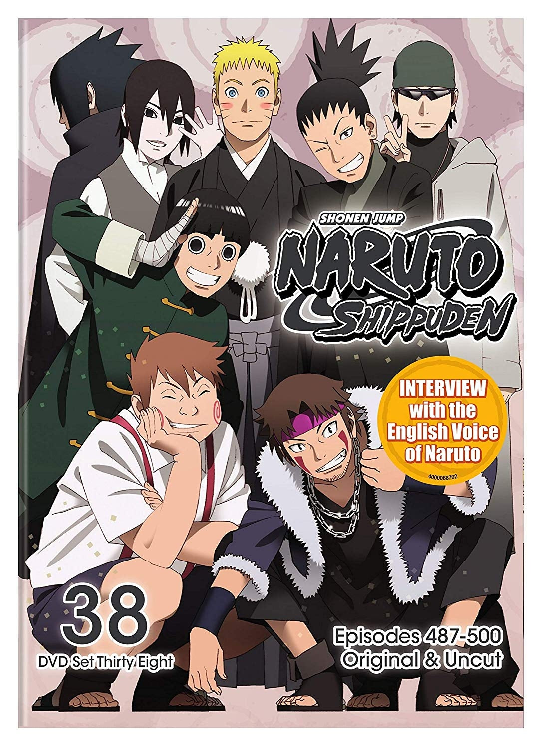 Naruto Shippuden: Set 38 (DVD)
