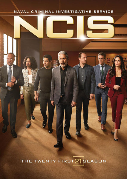 Ncis: The Twenty-First Season (DVD)