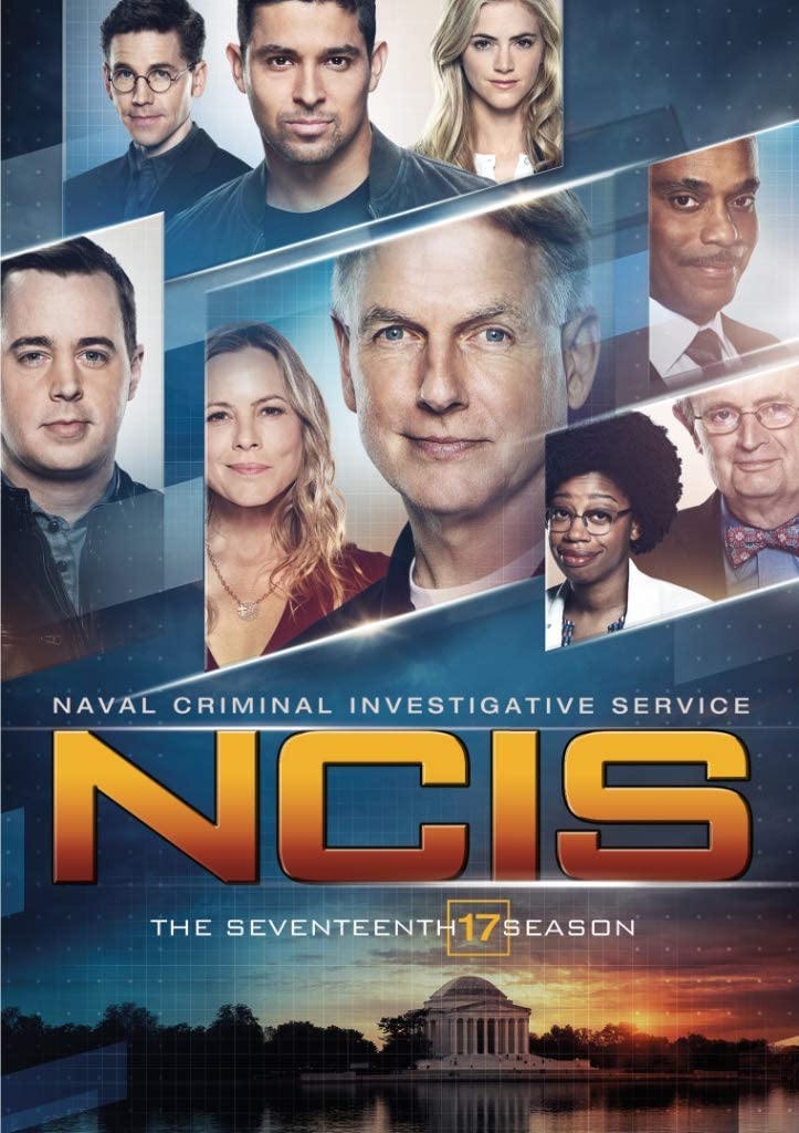 Ncis: Season 17 (DVD)
