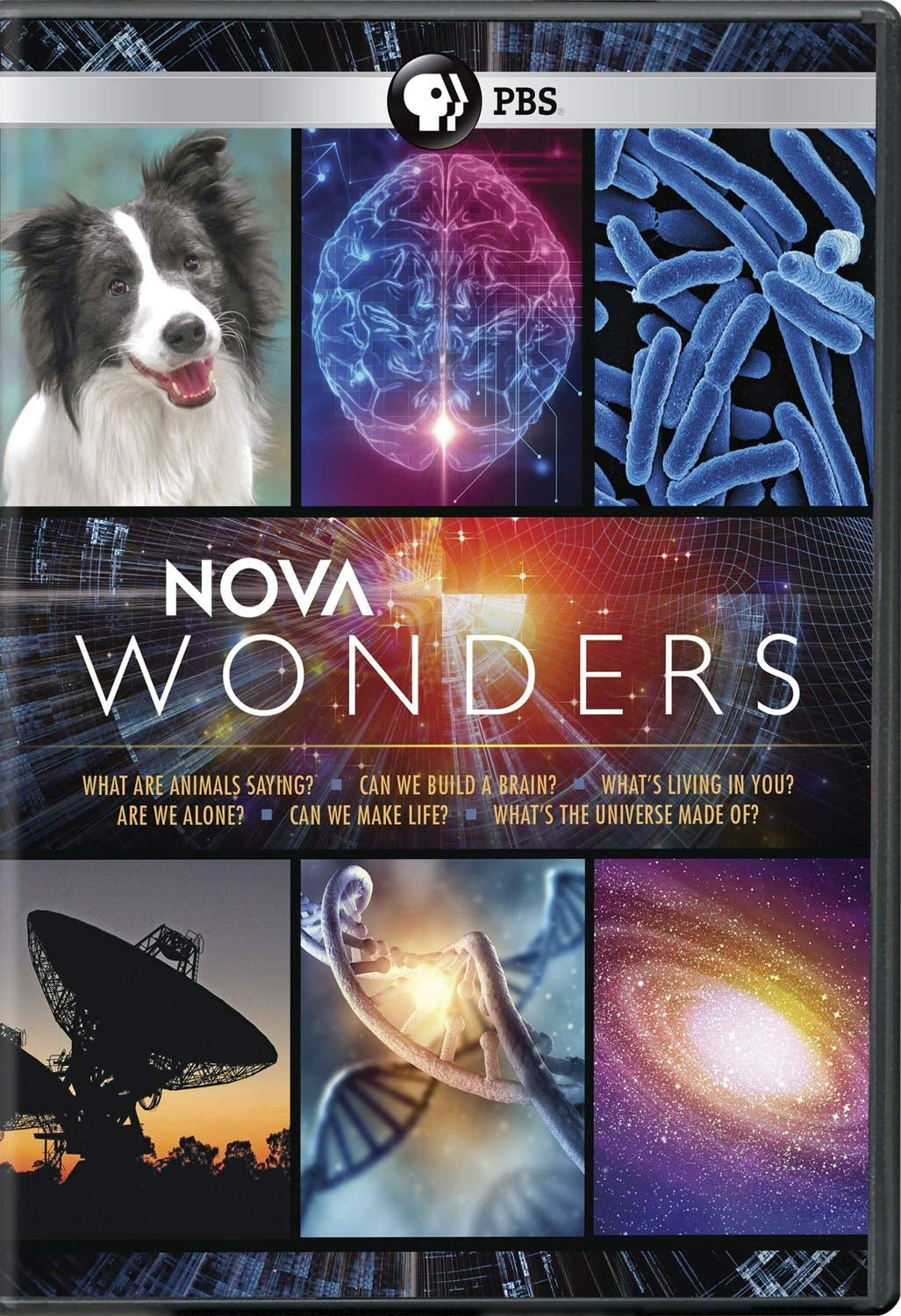 Nova: Wonders, Season 1 (DVD)