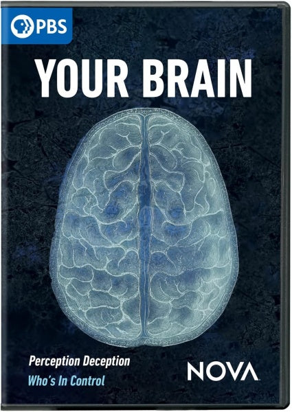 Nova: Your Brain (DVD)