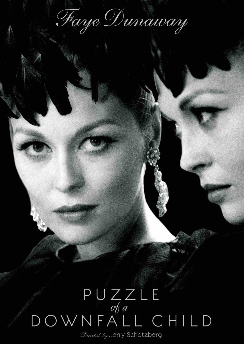 Puzzle of A Downfall Child (DVD)