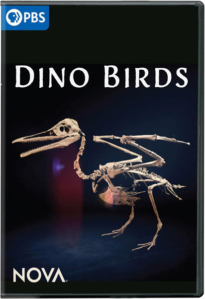 Nova: Dino Bird (DVD)