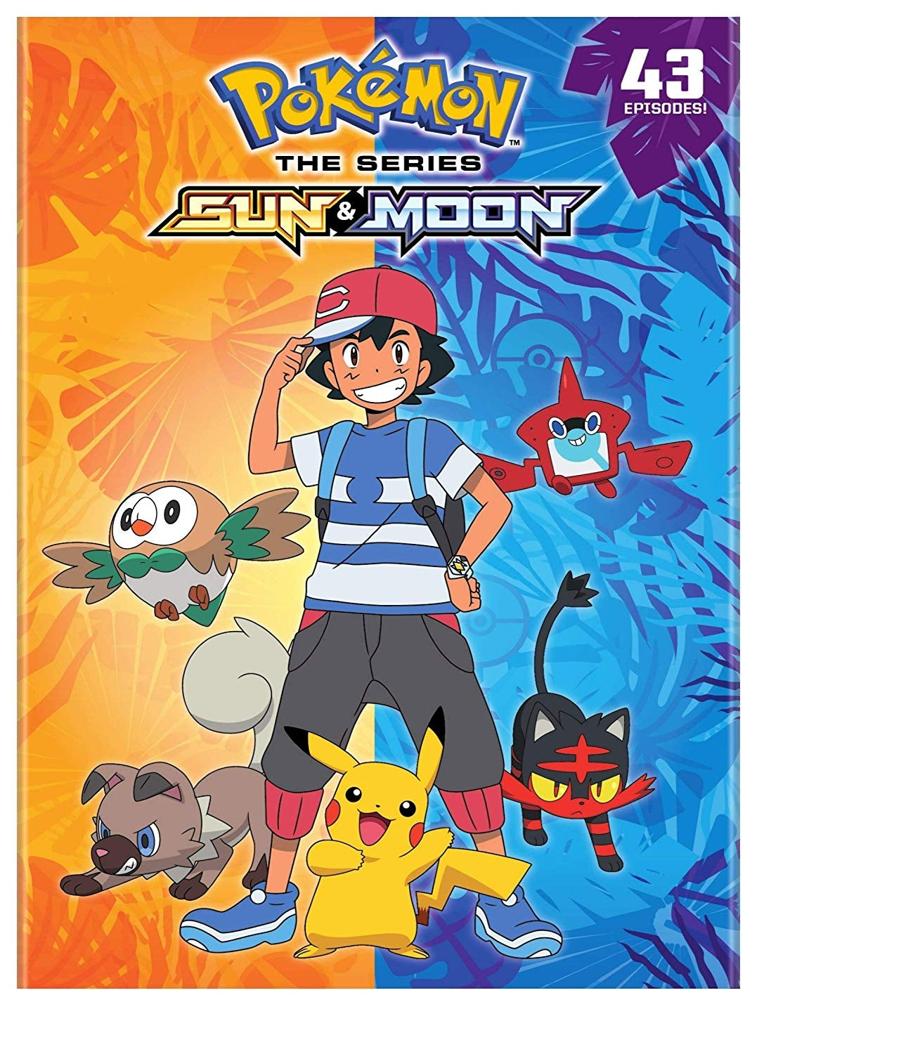 Pokemon: Sun & Moon: The Complete Collection (DVD)
