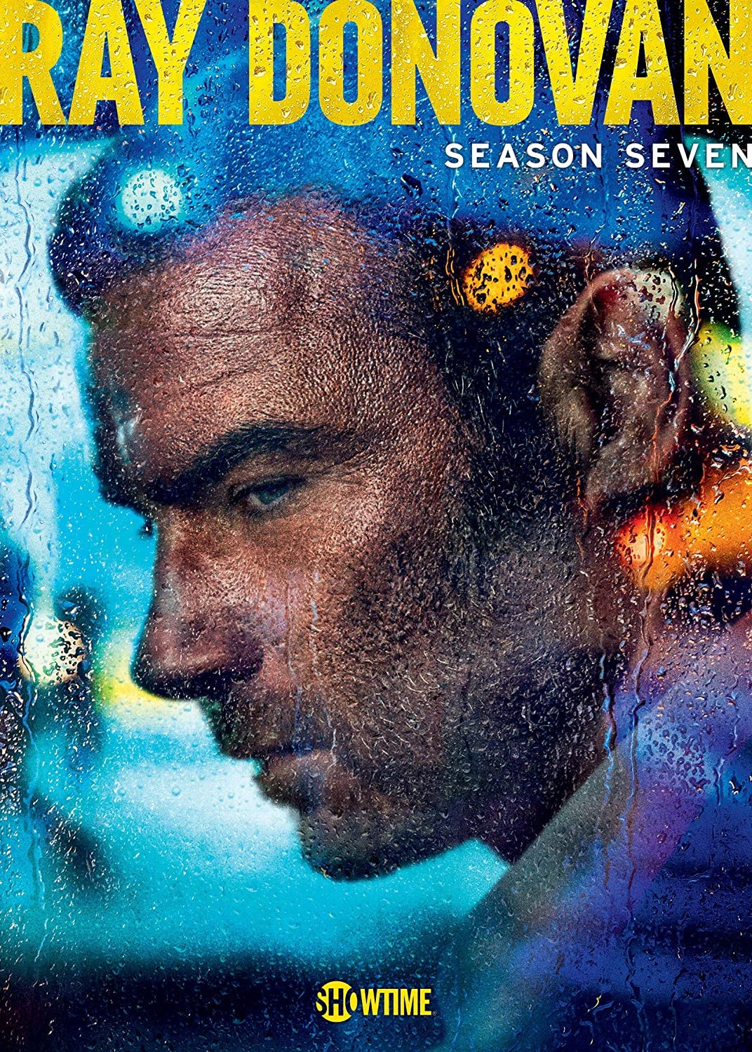 Ray Donovan: The Final Season (DVD)