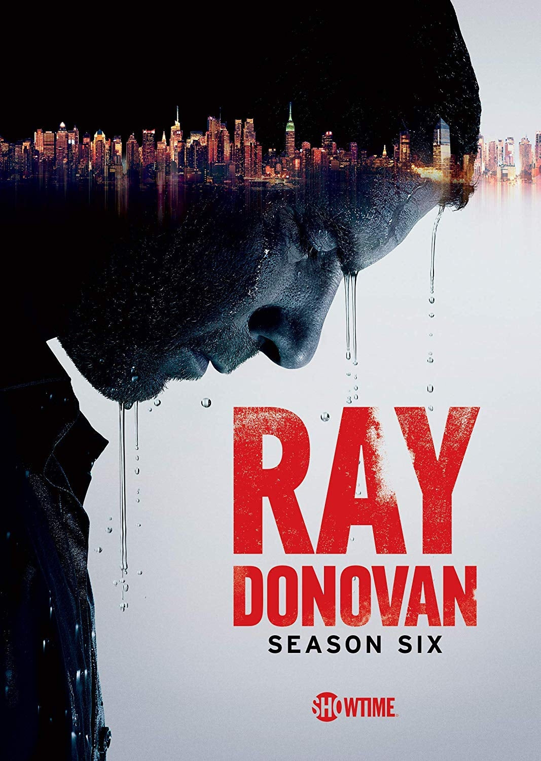 Ray Donovan: Season 6 (DVD)
