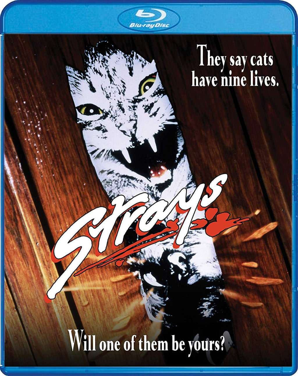 Strays (1991) (Blu-ray)