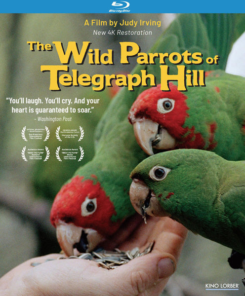Wild Parrots of Telegraph Hill (Blu-ray)