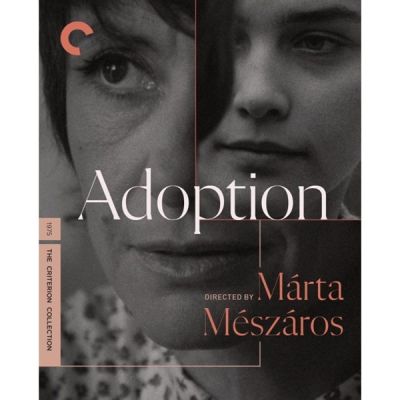 Image of Adoption Criterion Blu-ray boxart
